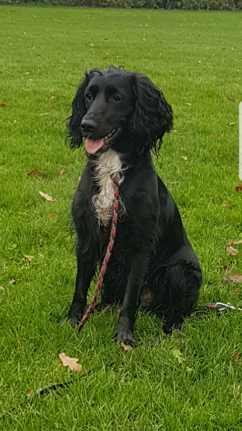 Original customer reference photo of Cleo